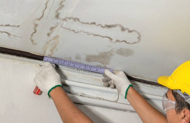 Reliable Structural Drying contractor in West Point, TX by Water Damage Irwin